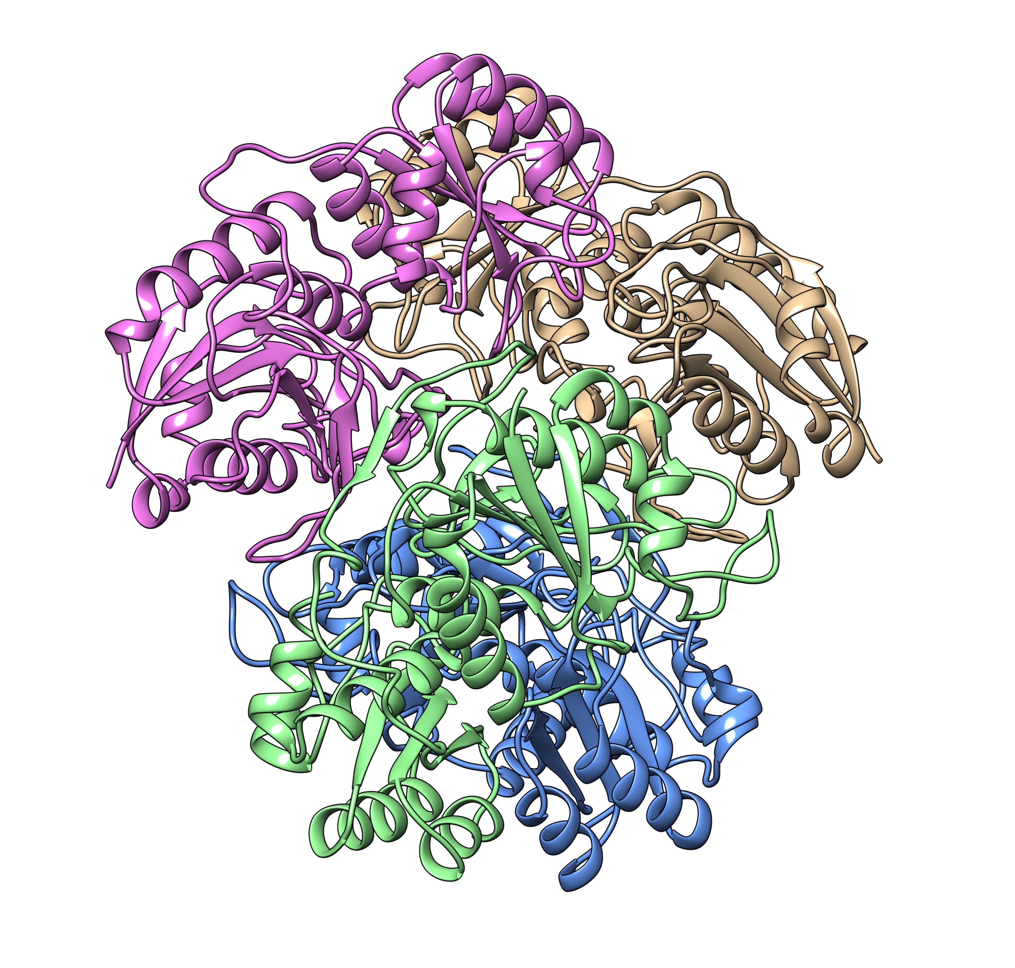 ANSII PEG model str SSNMR1