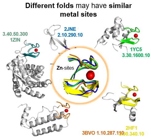 CompBiol Fig2a