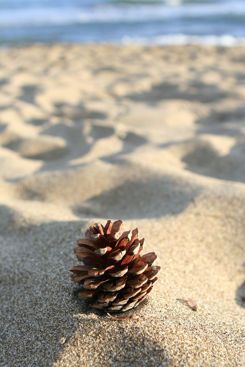 cone