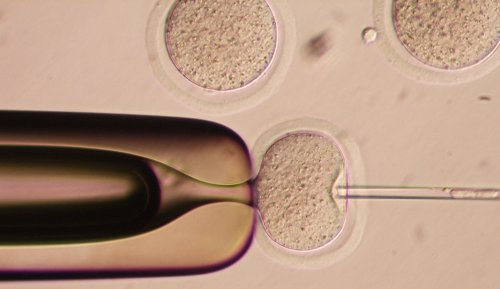 BIO_3