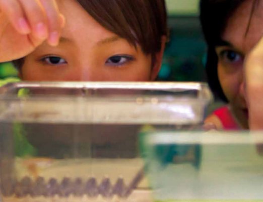 embl_3