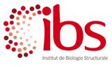 ibs_logo