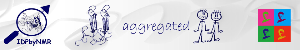Banner-IDPbyNMR-7